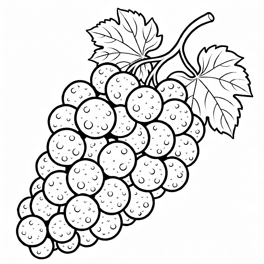 Close-up drawing of a clustered bunch of grapes with water droplets on each grape
